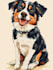 create  pet portrait illustration