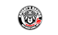design consulting knights racing service logo