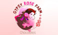 design gypsy rose farm chocolates logo