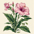 draw botanical illustrations of flowers