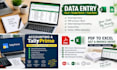 do accurate excel data entry, accounts data entry and tally