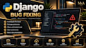 fix bugs in your django application