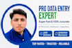do fast data entry, typing, copy paste and excel work
