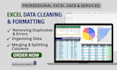 do data cleaning, data analysis, and pivot tables