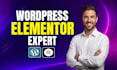 design wordpress elementor website, elementor landing page, or blog website