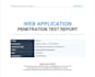 perform a web application penetration test