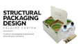 design custom folding carton packaging dielines
