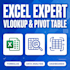 do excel data entry, vlookup, pivot table and formulas