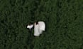 do cinematic wedding video editing wedding video edits wedding highlights teaser