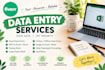 do data entry and copy paste