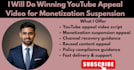 do winning youtube appeal video for monetization suspension