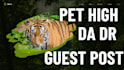 do pet guest post backlinks high authority