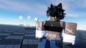 create combat system, movement, animations and 3d models for your roblox game