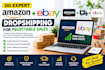 do expert amazon to ebay dropshipping for profitable sales