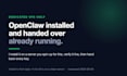 set up a self hosted ai agent on your vps, private and yours