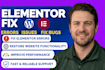 fix elementor bugs, errors, responsive wordpress website and layout issues