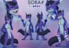 draw furry reference sheet, fursona art, fursuit reference sheet furry nsfw art