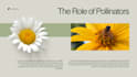 design modern powerpoint and canva presentations