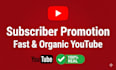 do organic subscribers for yt