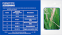 create a professional powerpoint presentation