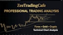 provide professional forex and gold trading analysis