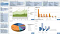 clean your excel data and provide monthly reporting