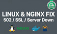 fix linux server, nginx, 502 bad gateway and SSL errors