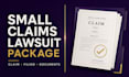 prepare a professional small claims lawsuit package