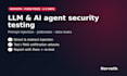 test your llm app or ai agent for prompt injection and jailbreaks