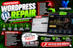 professionally repair and troubleshoot your wordpress website