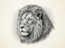 draw a hedcut wsj style animals character illustration