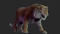do realistic 3d animal model,  3d fur xgen zbrush model, creatures, maya model