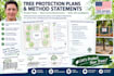 design tree protection plans and method statements