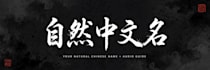 create a natural chinese name for you with audio guide