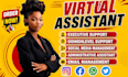 ghl virtual assistant executive virtual assistant carousel insta reel data entry