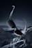 create cinematic 3d sunglasses animation, 3d eyewear designs and 3d rendering
