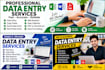 do professional data entry copy paste and web research