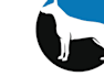 design a custom unique dog logo
