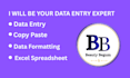 be your data entry expert