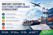 provide import export and customs compliance consulting
