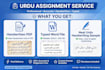 write professional urdu assignment, essay, story and application