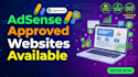 provide SEO friendly google adsense approved website service