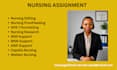 do capella, walden, chamberlain, bsn, msn and dnp nursing