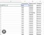 do accurate excel data entry and data cleaning