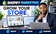 grow shopify store with targeted marketing and store promotion