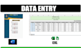 do excel data entry, copy paste and web research