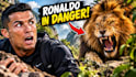 design high impact youtube thumbnails for your vlogs