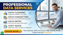 accurate data entry, data cleaning, and excel data formatting