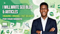 write professional website content articles and SEO blog posts