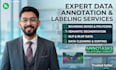 do precise data annotation using annotasks and other tools